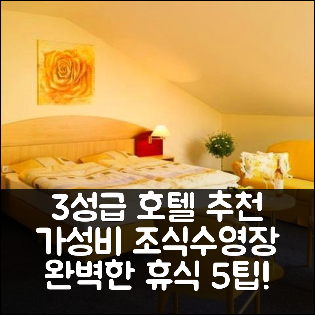 마인하르트 숙소 여행 호텔 추천 호텔 쇼크 | 3성급 가성비 조식과 수영장으로 완벽한 휴식지 5가지 팁