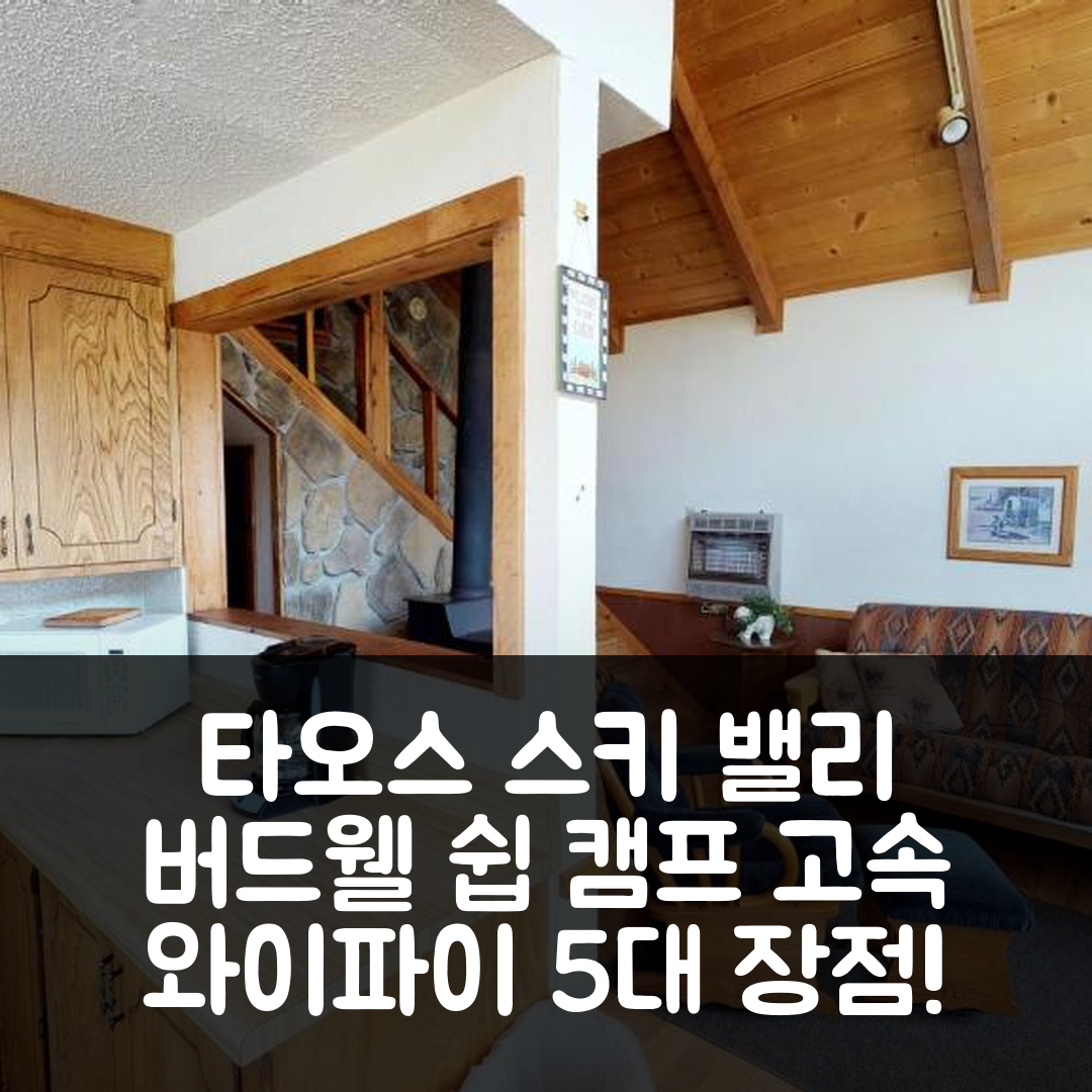 타오스 스키 밸리 숙소 여행 호텔 추천 버드웰 쉽 캠프 | 고속 와이파이와 가격 경쟁력이 뛰어난 5가지 이유