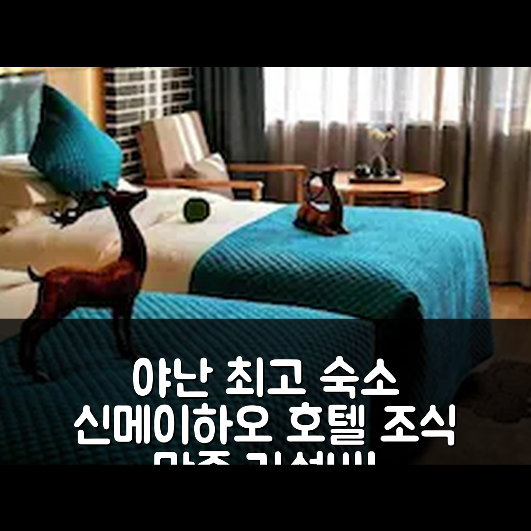 야난 숙소 여행 호텔 추천 신메이하오 호텔 | 조식 가성비 뛰어난 4성급 위치 및 예약 팁 5가지
