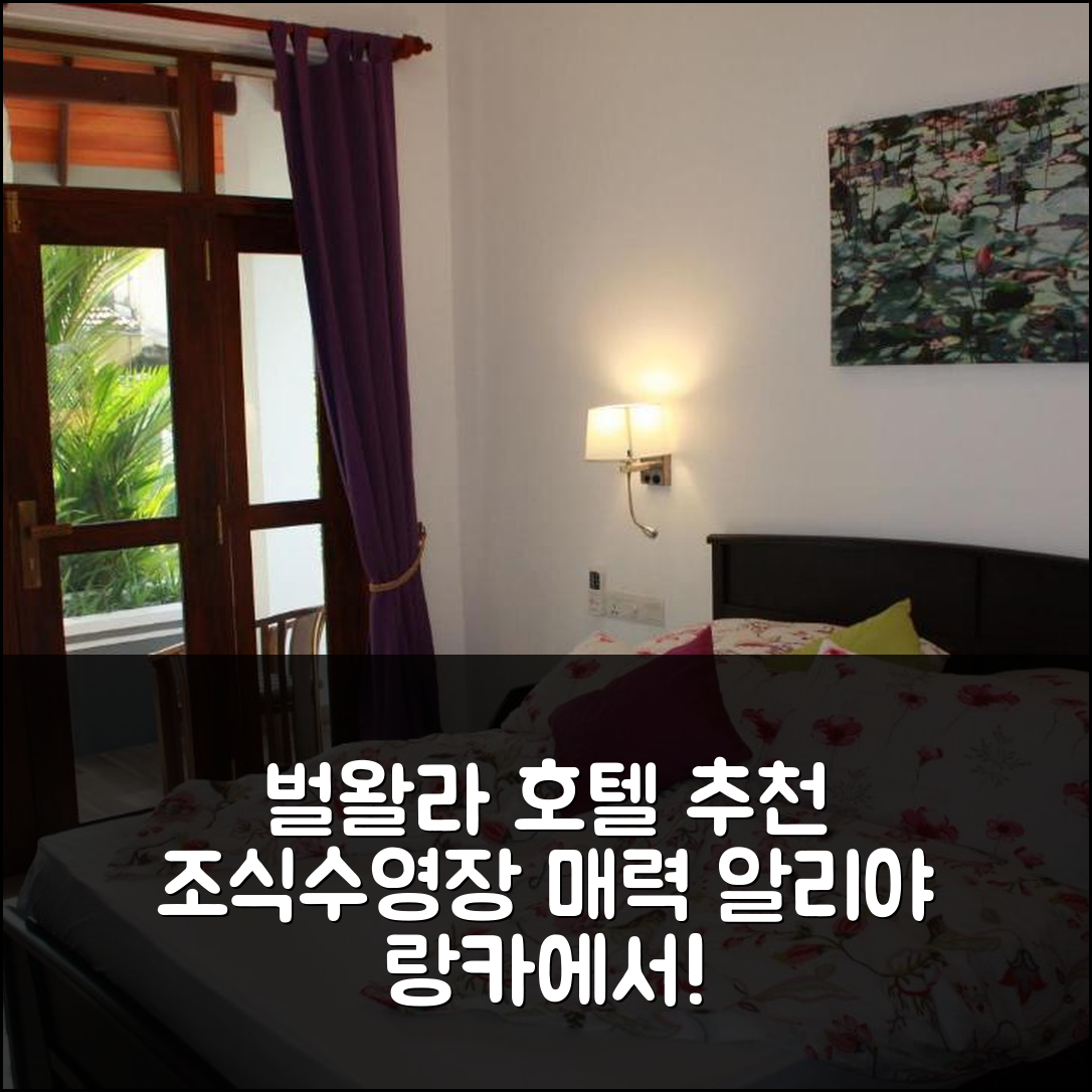 벌왈라 숙소 여행 호텔 추천 알리야 랑카 호텔 | 조식과 수영장이 매력적인 3가지 이유