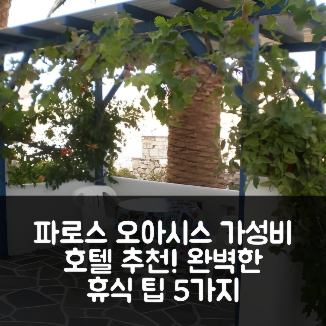 파로스 숙소 여행 호텔 추천 오아시스 스튜디오스 로가라스 | 가성비 뛰어난 위치와 조식으로 완벽한 휴식 5가지 팁