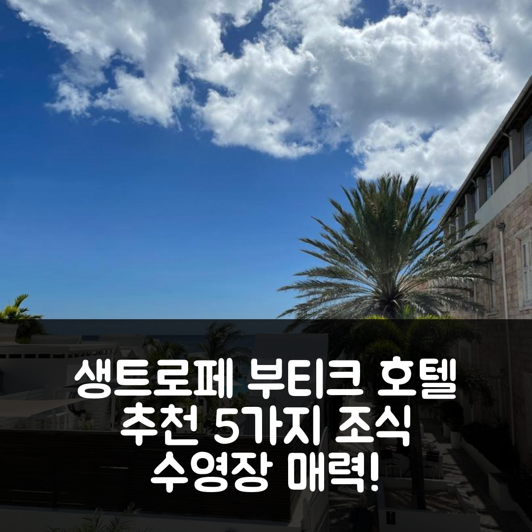 윌렘스타트 숙소 여행 호텔 추천 생트로페 부티크 호텔 | 조식과 수영장이 매력적인 5가지 이유