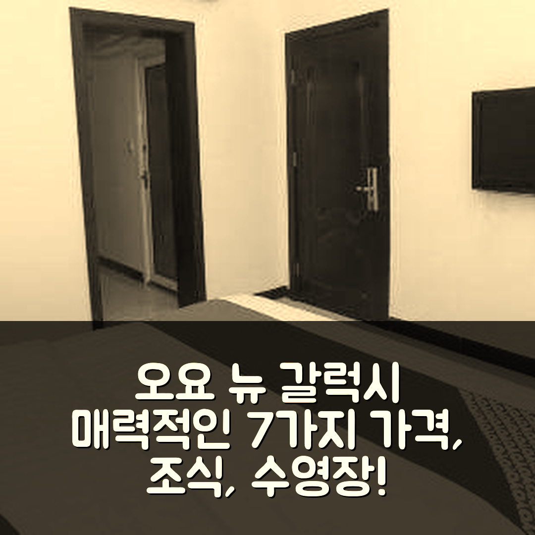 러우디 숙소 여행 호텔 추천 오요 뉴 갈럭시 호텔 | 가격과 조식, 수영장이 매력적인 7가지 이유