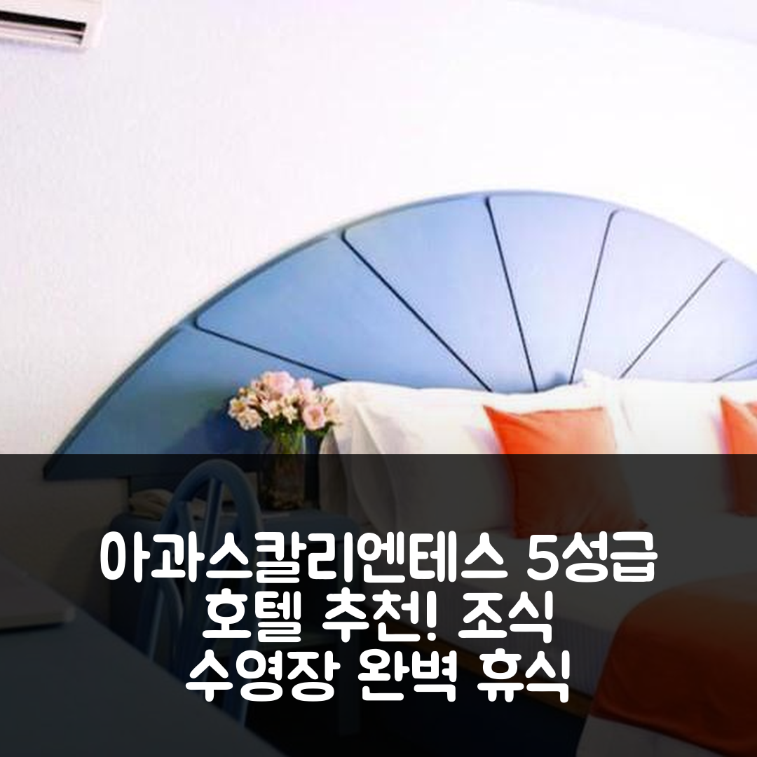 아과스칼리엔테스 숙소 여행 호텔 추천 미시온 아과스칼리엔테스 소나 수르 | 5성급 조식과 수영장으로 즐기는 최상의 휴식 팁 7가지