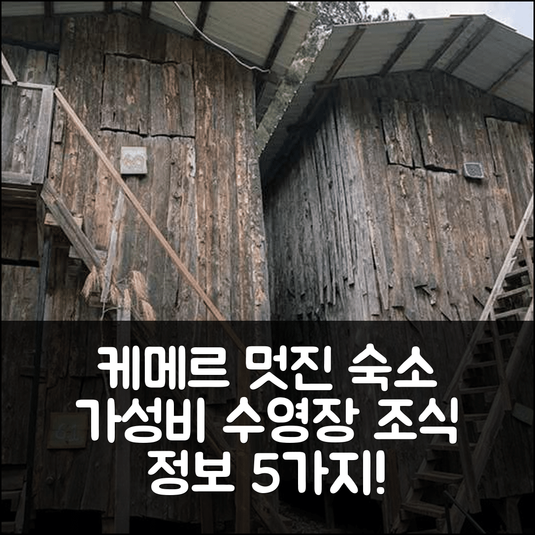 케메르 숙소 여행 호텔 추천 배이람스 트리 하우스 | 가성비 좋은 수영장과 조식 정보 5가지