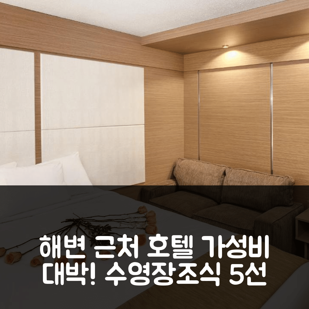 포트 로더데일 숙소 여행 호텔 추천 오션 비치 팰리스 호텔 앤 스위트 | 가성비 뛰어난 수영장과 조식 정보 5가지