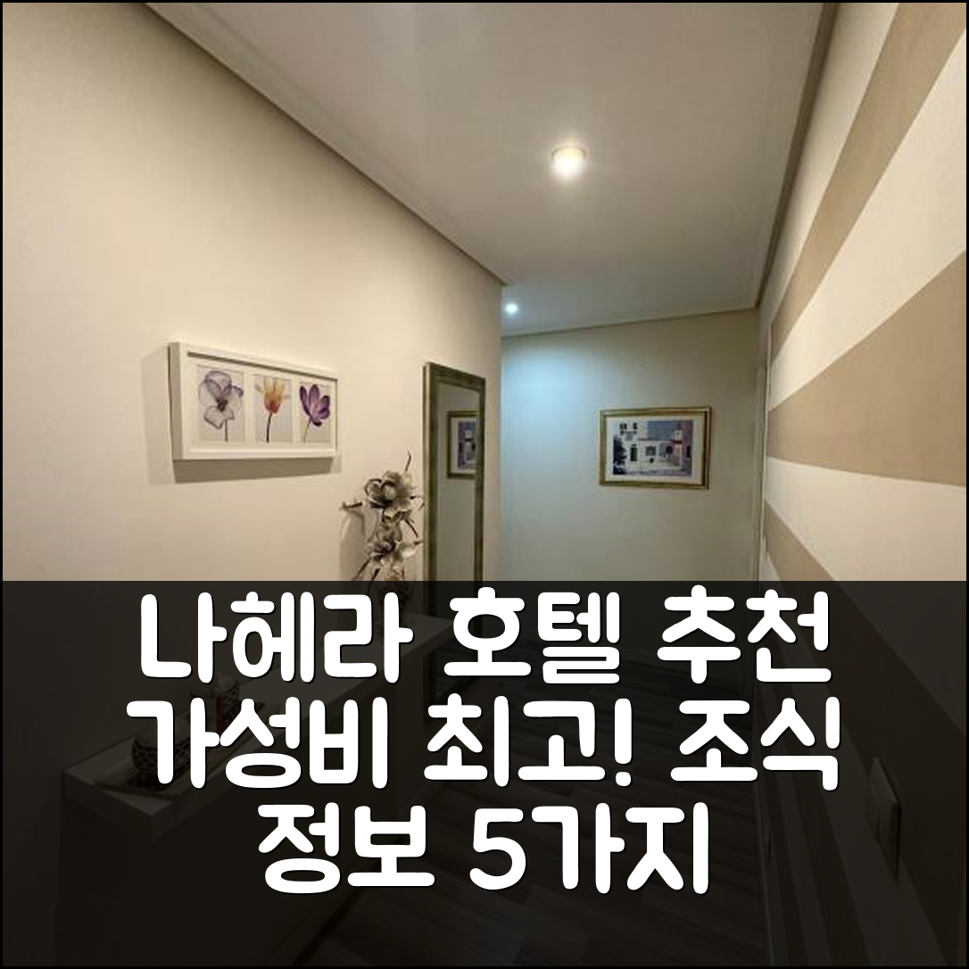 나헤라 숙소 여행 호텔 추천 아파트멘토 앤 엘 센트로 히스토리코 데 나헤라 | 가성비 높은 위치와 조식 정보 5가지