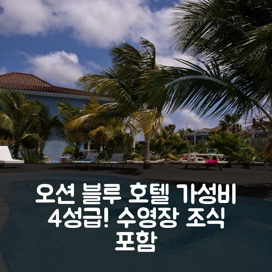 크라렌디즈크 숙소 여행 호텔 추천 오션 블루 보나이레 | 가성비 뛰어난 4성급 수영장과 조식 제공 6가지 매력