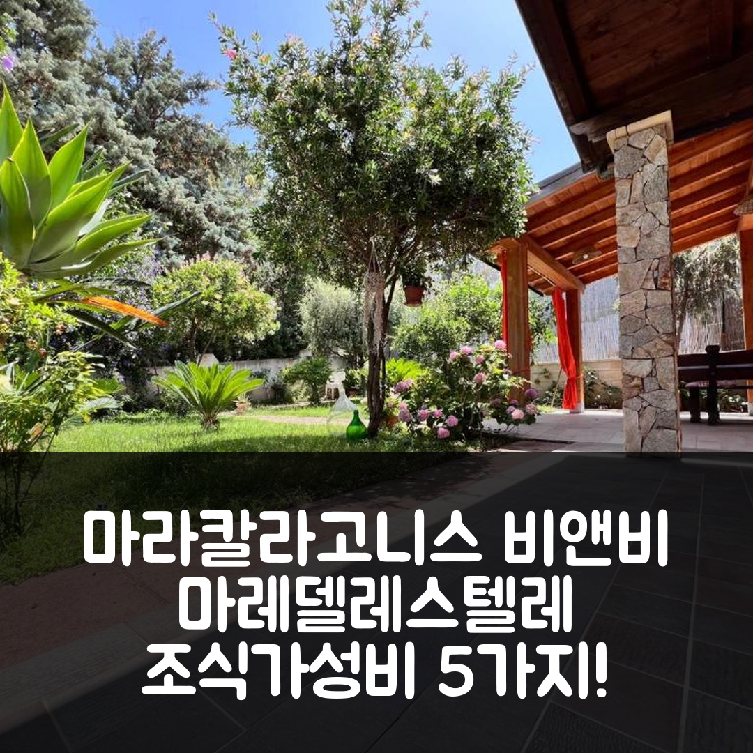 마라칼라고니스 숙소 여행 비앤비 마레델레스텔레 | 조식과 가성비 뛰어난 5가지 이유