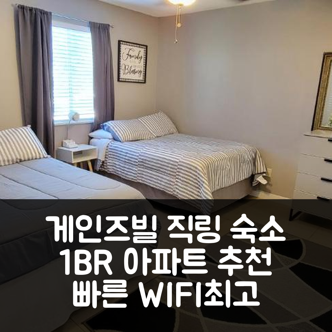 게인즈빌 숙소 여행 호텔 추천 컴피 앤 컨비니언트 1BR 아파트 | 빠른 WIFI와 가성비 뛰어난 위치 정보 8가지