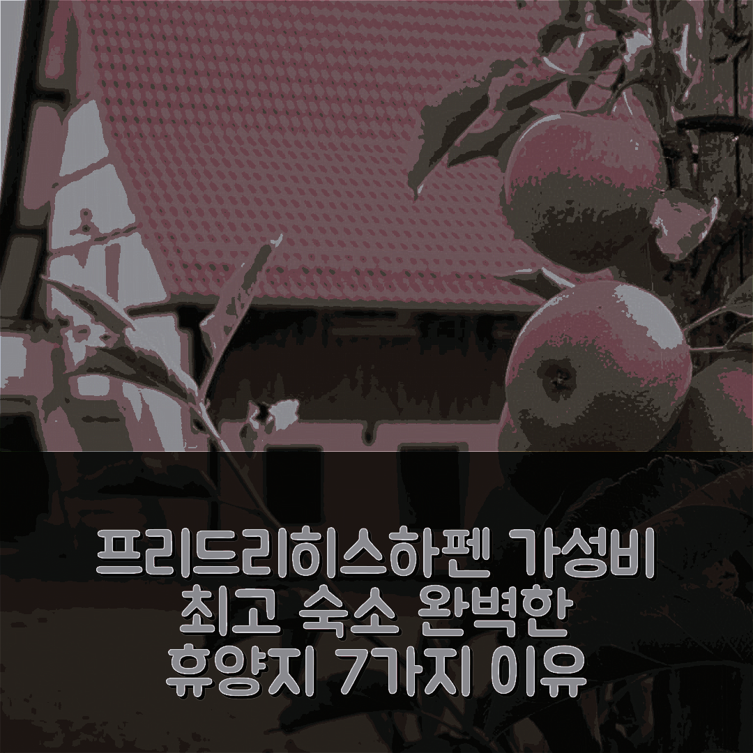 프리드리히스하펜 숙소 여행 호텔 추천 페어리노프 바그거스하우저 | 가성비 뛰어난 위치와 조식으로 완벽한 휴양지 7가지 이유