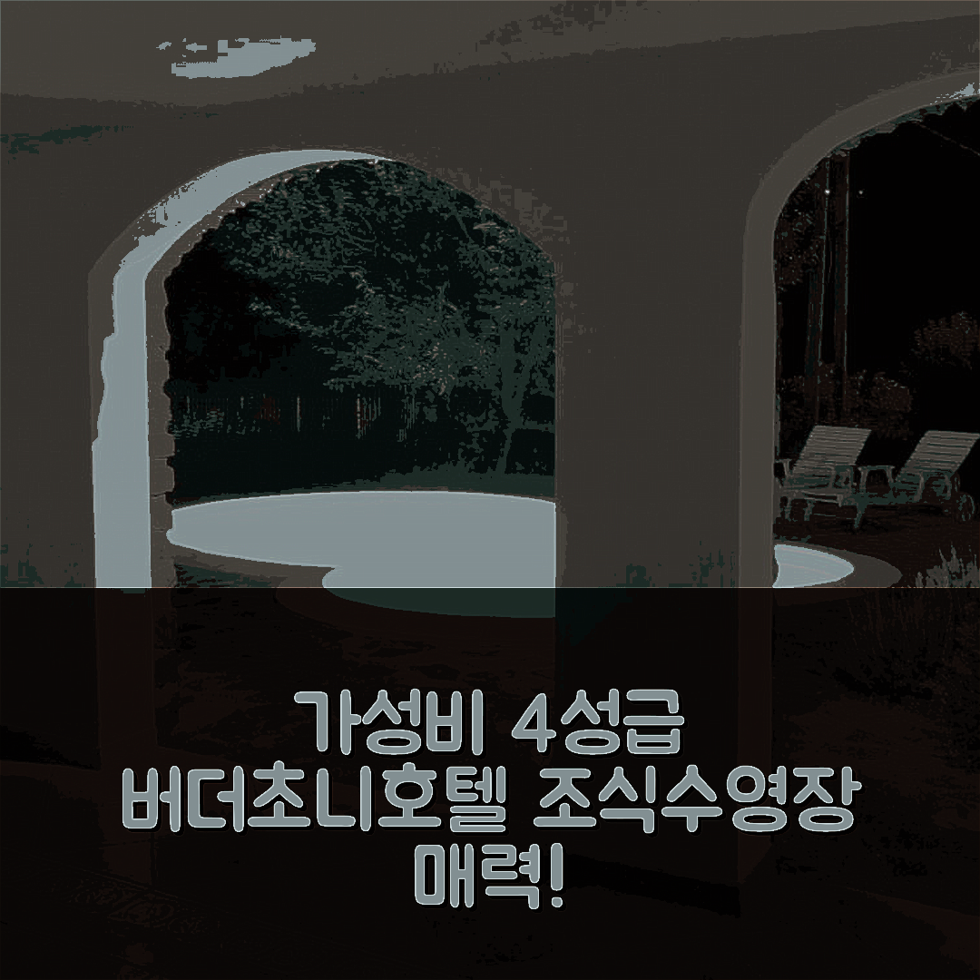 버더초니퇴르데미츠 숙소 여행 호텔 추천 알파 호텔 | 가성비 뛰어난 4성급 조식과 수영장 7가지 매력