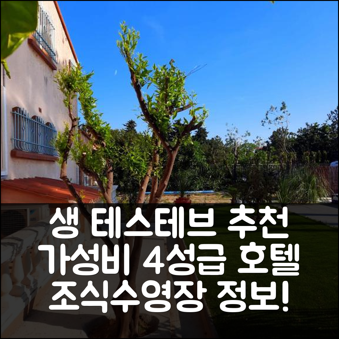 생 테스테브 숙소 여행 호텔 추천 도멘 데 핀 | 가성비 뛰어난 4성급 조식과 수영장 정보 5가지