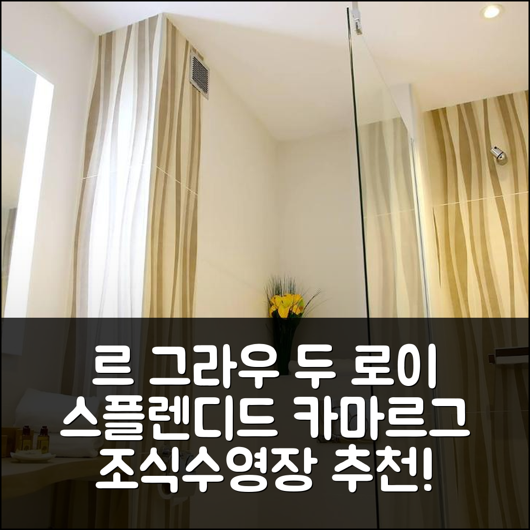 르 그라우 두 로이 숙소 여행 호텔 추천 스플렌디드 카마르그 호텔 | 조식과 수영장이 매력적인 5가지 이유
